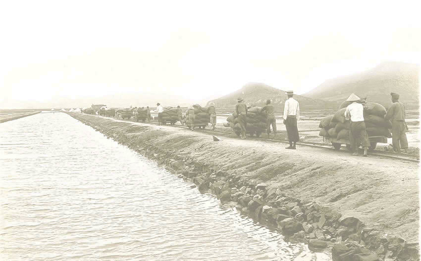 沿革イメージ